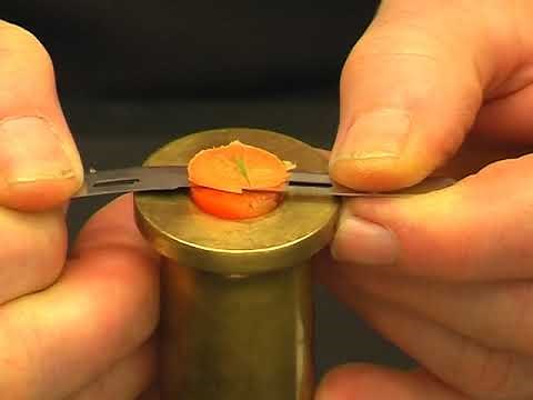 Ultramicrotomy: Hand Microtome Use