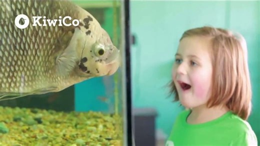 KiwiCo TV Spot, 'Curiosity and Creativity'