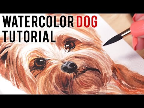 How to Paint a Yorkshire Terrier Dog in Watercolor