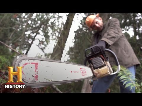 Ax Men: How to Cut Down a Tree (S9, E14) | History