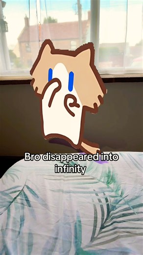 Cat into infinity 😂#shorts #funny #shortvideo #trending