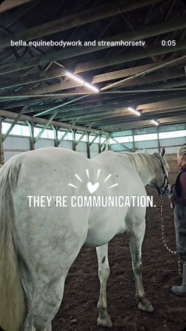 Understanding Horse Body Language: Tension, Anxiety & Communication