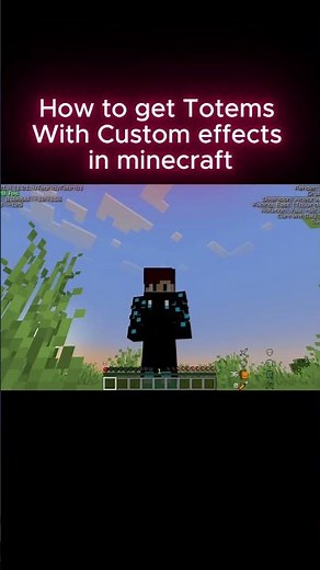 Custom totems? #minecraft #gaming