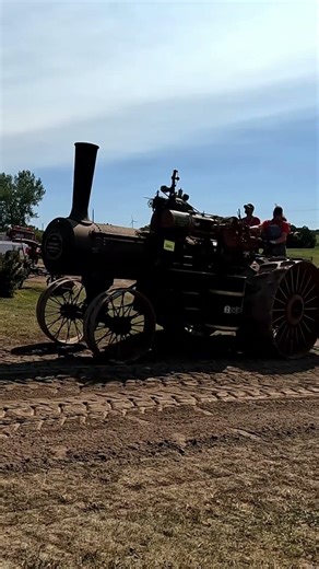 Old steam tractors.