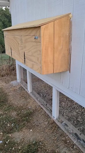 Best Chicken Coop Nesting Boxes for Homesteading