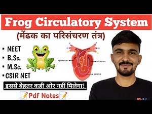 Frog Circulatory System || Blood Circulation || By Dadhich Sir