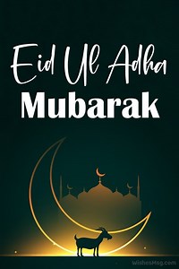 21 shares | Wishing you a blessed Eid ul Adha! May Allah accept your sacrifices and grant your prayers. #Eid #eidmubarak2023 #EidUlAdhaMubarak #eiduladha2023 #eidwishes #eidquotes #eidgreetings | Wishes & Quotes | Facebook
