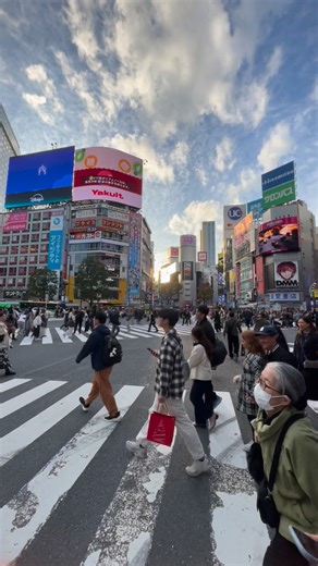shibuya scramble crossing | Sonia Cambal Shibata