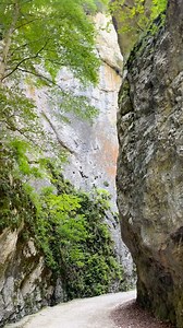 La pas printre Prăpăstiile Zărneștilor! Visit Zarnesti - #romania #muntiinostri #carpati #travel #carpathians #europe | Visit Brasov Romania