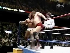 Terry Funk vs Rick McGraw