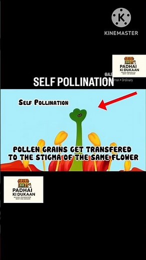 Process Of Self Pollination 🌺 #biology #boardexam