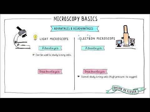 MICROSCOPY BASICS, Edexcel 9-1 GCSE Biology, Topic 1 Key Concepts in Biology