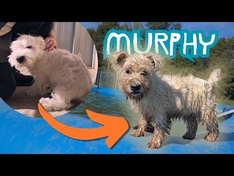 WE CREATED A MONSTER!