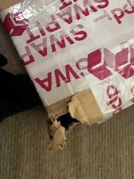 DPDgroup reviews: Complaint | PissedConsumer.com