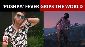 David Warner dances to Allu Arjun's hook step from Pushpa's Srivalli song
