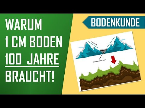 Wie entsteht Boden (Acker)? | Bodenkunde,Geologie - kurzes Erklärvideo