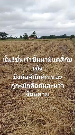 #งึดหลาย😝 | Samram Treechsiram