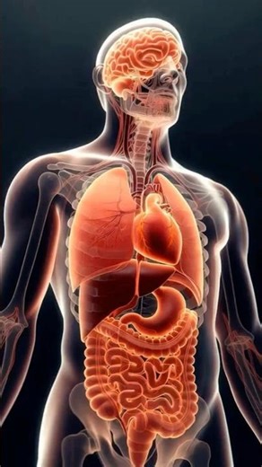 Incredible Human Body Facts | The Human Body Is a Perfect Machine 🤯 | #HumanBodyFacts