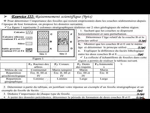 Exercice 2 : la datation relative-les fossiles stratigraphiques/facies et le pro cipe de continuite