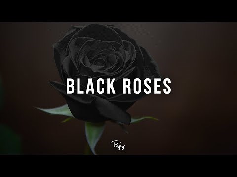 "Black Roses" - Storytelling Trap Beat | Free Rap Hip Hop Instrumental 2022 | Deemax #Instrumentals