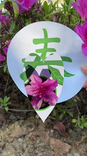 Make a simple spring viewfinder by yourself to capture the beauty of spring#Kindergart