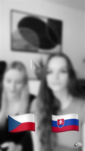 Many of you have been asking for differences between 🇨🇿 and 🇸🇰 How to do it better than with a native Slovakian speaker? Meet my friend Bronka💁🏼‍♀️ Together we will show you how our languages can be similar but also very different. Stay tuned for more videos!💅🏻 #czech #czechitoutwithdani #czechrepublic #cestina #ceskyjazyk #learnczech #studyczech #education #czechteacher #teacher #brno #praha #prague #plzeň #plzen #pilsen #expats #expatsinprague #expatsinbrno #expatsinplzen #vocabulary #