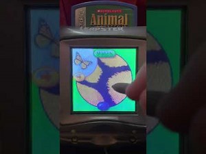 Animal Genius! Part 4:Snowy Owl & Seal!