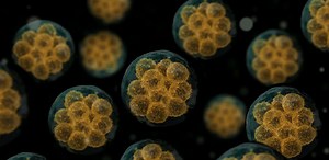 Synthetic organs, nanobots and DNA ‘scissors’: the future of medicine