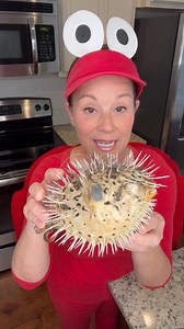 Let's have a science lesson on Porcupine Pufferfish & Shark Egg Cases. 🦀 | Miss Annie's Home Kitchen