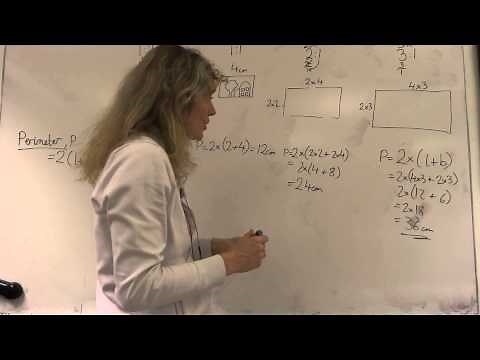 PART 1: Draw to different scales 1:2, 2:1, 3:1 Investigate perimeter and area