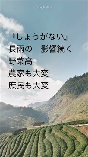 初心者現代短歌、次回1014日午後12時投稿のテーマは『冬眠』です。#初心者#現代短歌#初心者現代短歌#今日の短歌#秋#長雨#被害#農作物#日照不足#野菜#高い#農業#物価高#トマト#白菜#きゅうり