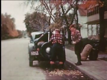 Canadian Moose & Deer Hunting Trip: Lake of the Woods Adventure