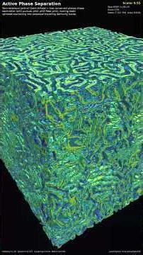 Active Phase Separation — 3D Cellular Automaton #Shorts