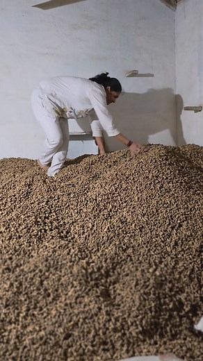 Koladiya Reena on Reels