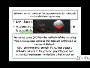 behavioral ecology ethology proximate ultimate question fap fixed action pattern