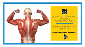 Joint Actions and Muscle Contractions in 3 simple learning points