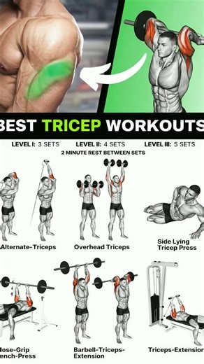 "Best Tricep Workout for Beginners (Fast Results) 💪" #shorts #gym #fitness #workout #trisepsworkout