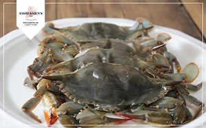When is soft shell crab season in Maine? [2025] | QAQooking.wiki