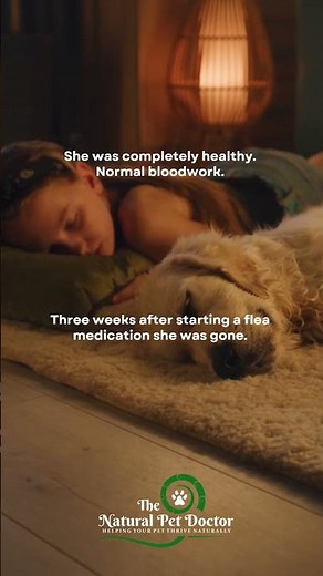 The Flea Medication Story I Can’t Forget as a Vet