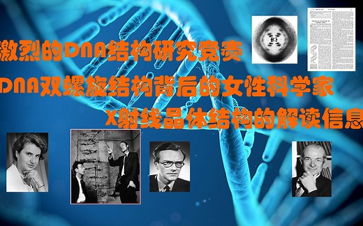 【研究故事】从核酸的发现到DNA双螺旋的结构揭示