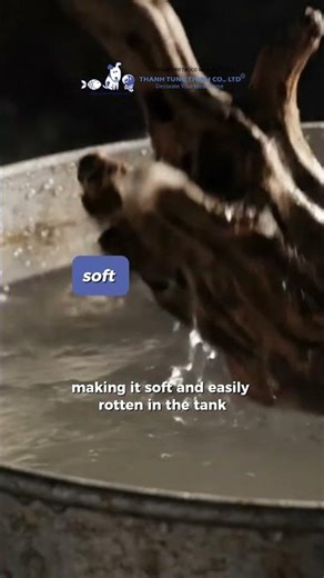 How to Boil Driftwood Naturally | Professional Wood Treatment Guide