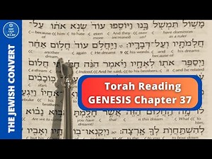 Torah Reading | Genesis Chapter 37 in Hebrew with English Translation