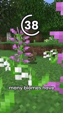 Guess the Biome in 60 seconds 4