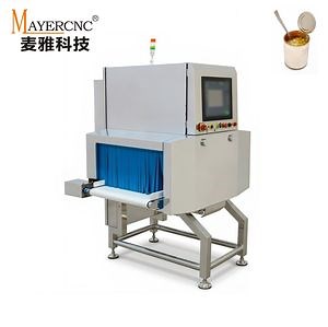 [Hot Item] High-Precision Industrial X-ray Detector for Foreign Object Inspection