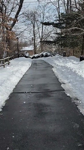 Walk ❄️🩵 #walking #love #birds #nature #winter #like #life #snow #asmr #shorts #hiking #mentalhealth