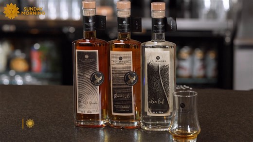 77K views · 1.2K reactions | This is not your grandad's maple syrup. Hollerhorn Distilling, in Naples, New York, makes spirits from locally-produced maple syrup, transforming the golden nectar into a clear, 80-to-100 proof liquor. https://cbsn.ws/3CK0TsS | CBS Sunday Morning | Facebook