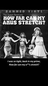 592K views · 4.5K reactions | These girls were on fire back in 66. Their producer, Bill Sphinktor, wrote of the most memorable tunes of that decade. #nostalgiacore #bannedvinylcollection #Memes #jokeoftheday | Banned Vinyl Collection | Facebook