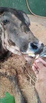 if only he cd stand on his feet things wd be different🙏🙏