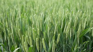 t20240320_7450826.html