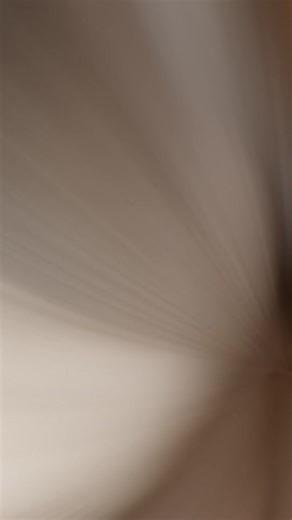 Gato do Terno no TikTok